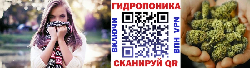 Каннабис гибрид  omg tor  Голицыно  закладка 